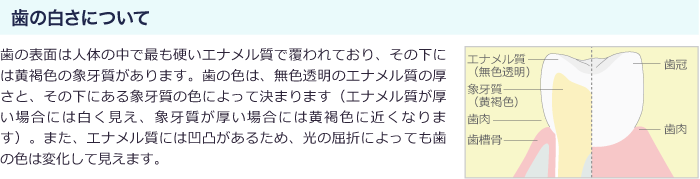 歯の白さについて